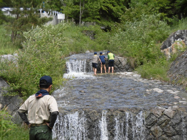 活動