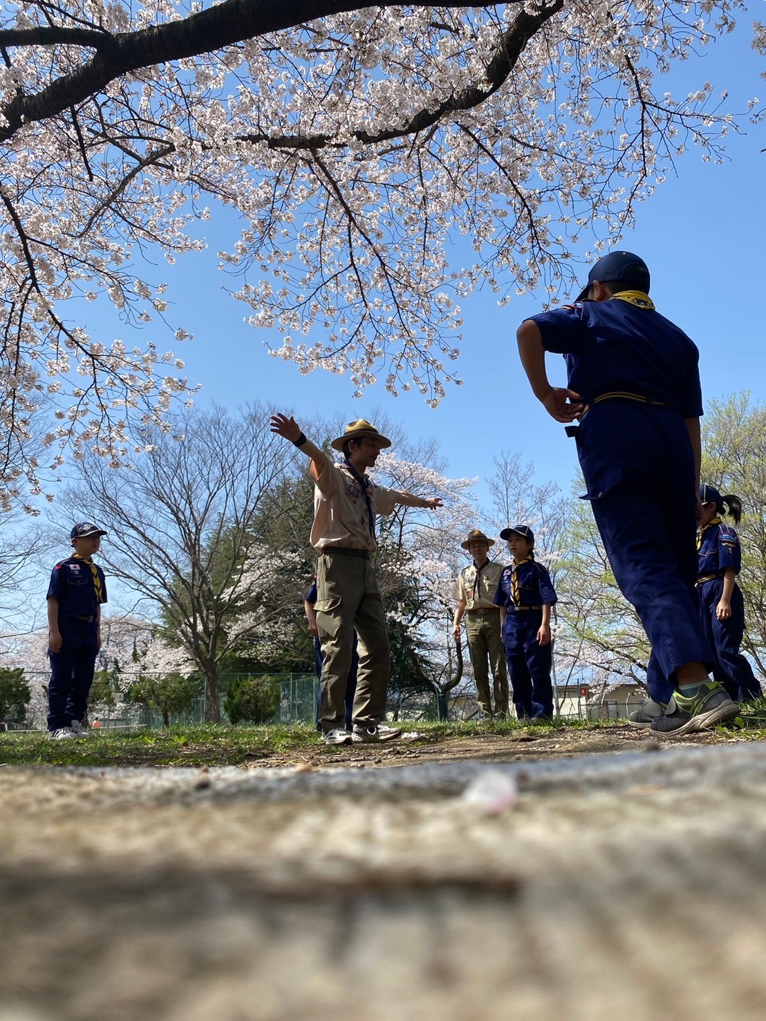 活動